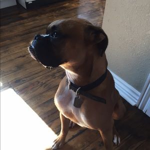 Meet your Posher, Michelle