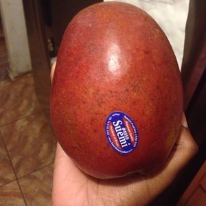 100% Carribean Mango Fruit
