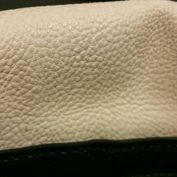 Meet your Posher, Camelia - Picture 1 of 1