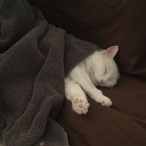 Meet your Posher, Hannah