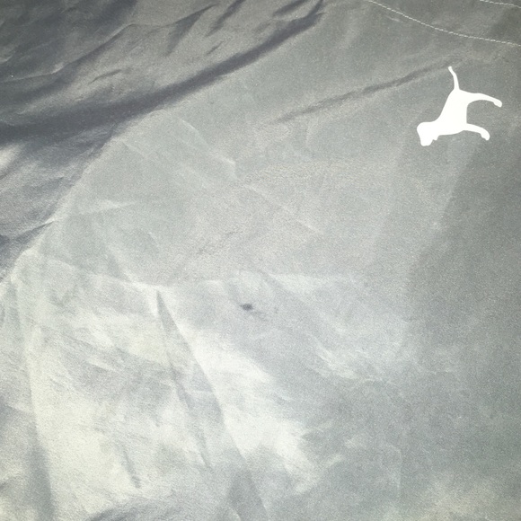 Victoria's Secret totes bag. - Picture 3 of 4