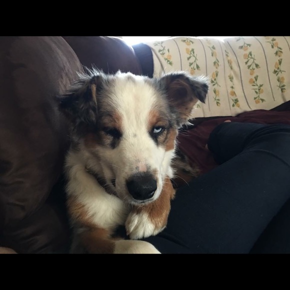 Meet your Posher, Grey