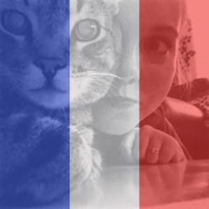 Meet your Posher, Katy