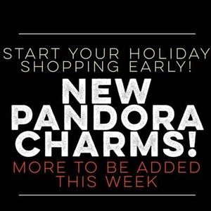 Authentic PANDORA Charms Brand new 50% of retail