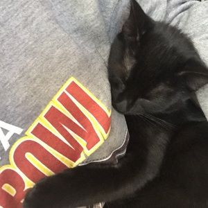 Meet your Posher, Tabatha
