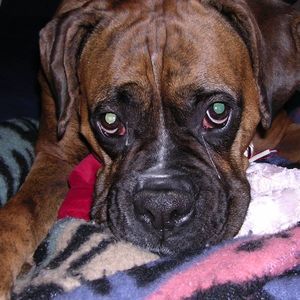 Meet your Posher, Colleen