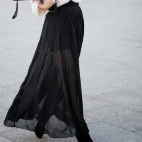 Black sheer pleated skirt
