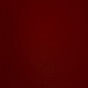 Meet your Posher, Dani