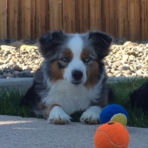 Meet your Posher, Terri