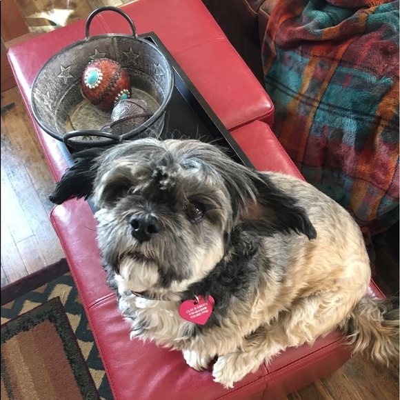 Meet your Posh Ambassador Posher, Gretta - Picture 6 of 15