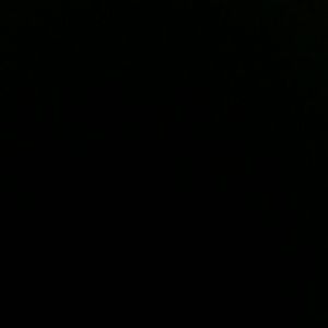 Meet your Posher, Charlene