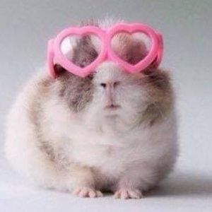 Meet your Posher, Kari