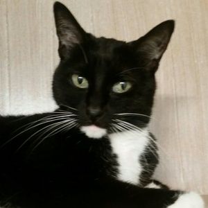 Meet your Posher, Jana