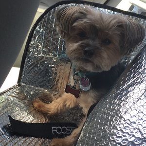 Meet your Posher, Roxanne