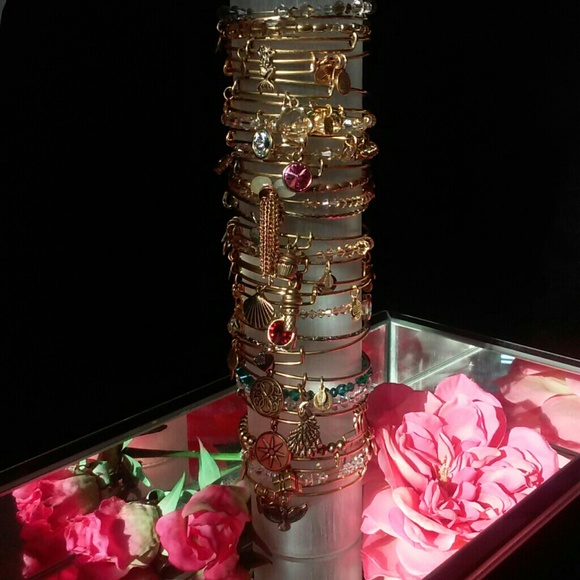 💕 Top 10% Seller💕 Ambassador & Mentor 💕 - Picture 4 of 4