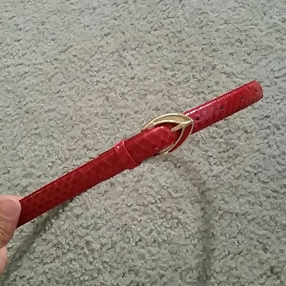 Genuine Snake Skin belt - Picture 1 of 4
