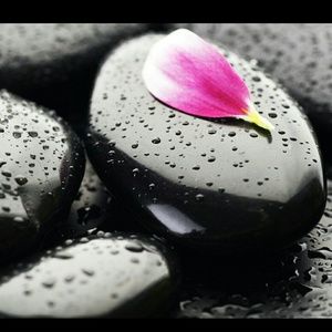 Meet your Posher, Bailey