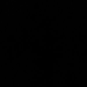 Meet your Posher, Will