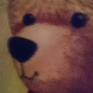 Meet your Posher, Crystal