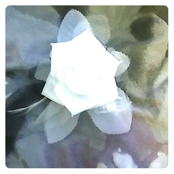 Hair clip