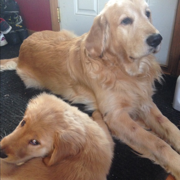 Meet your Posher, Julia - Picture 1 of 1