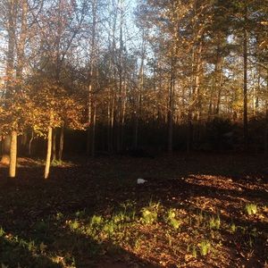 Meet your Posher, Illy