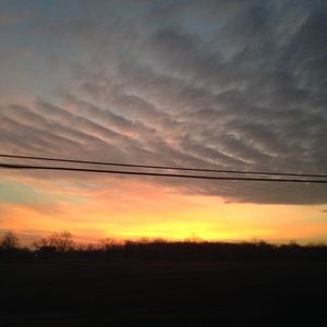 Meet your Posher, Noah