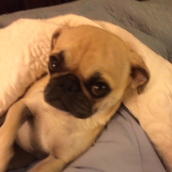 Welcome to the closet - Picture 2 of 4