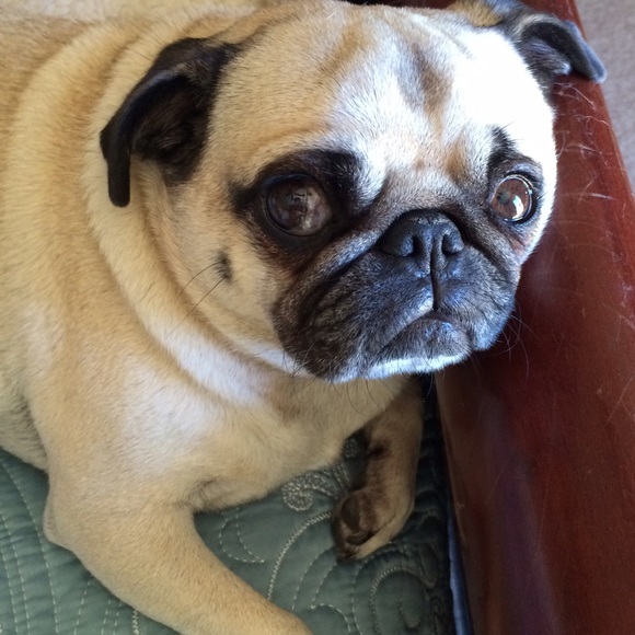 Welcome to the closet - Picture 3 of 4