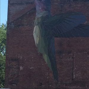 Meet your Posher, Kathryn