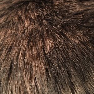 Meet your Posher, Stacy