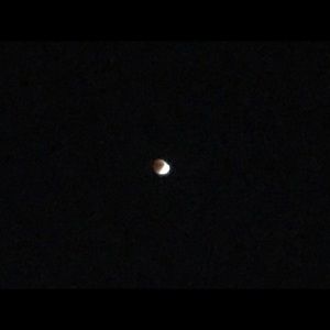 Meet your Posher, Hugo