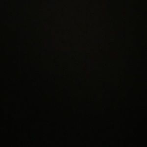 Meet your Posher, Bridget