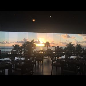 Meet your Posher, Scarlett