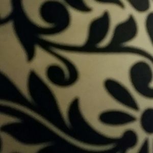 Meet your Posher, Kandis