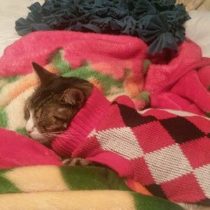 Meet your Posher, Nikki