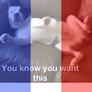 Meet your Posher, Jacob