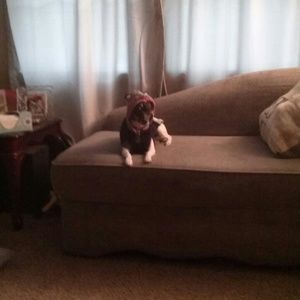 Meet your Posher, Heather