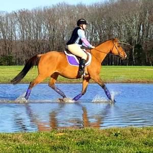 Meet your Posher, Christine