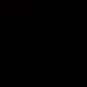 Meet your Posher, Anne