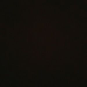 Meet your Posher, Gracie