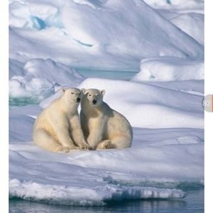 Meet your Posher, Iliana