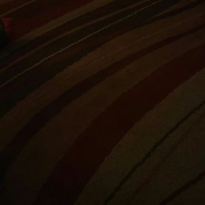 Meet your Posher, Sheila