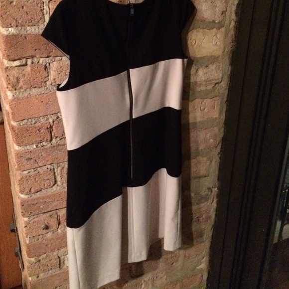🎉🎉 HP-Black & Off-White Striped Shift Dress - Picture 2 of 3