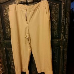 Dressy Capri pants