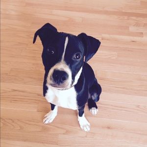 Meet your Posher, Miranda