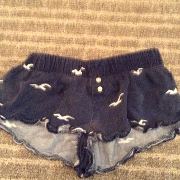 Adorable hollister boxers