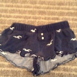 Adorable hollister boxers