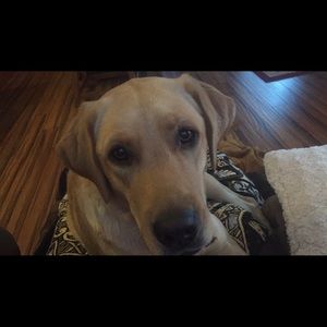 Meet your Posher, Jenna