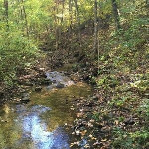 Meet your Posher, Melody